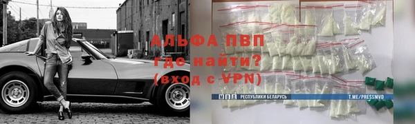 амф Богданович