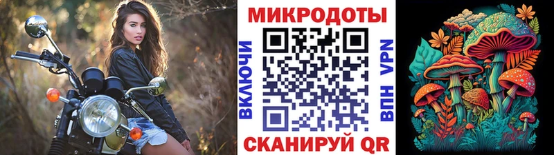 Галлюциногенные грибы Psilocybine cubensis  наркошоп  Чаплыгин 