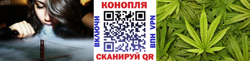 Шишки марихуана план Чаплыгин